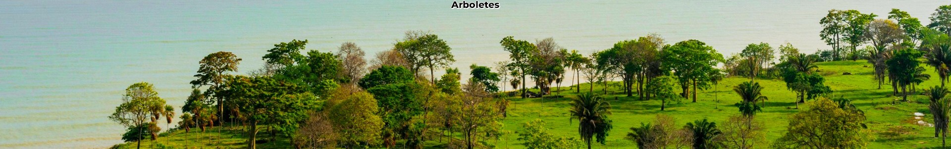 Arboletes