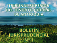 BOLETÍN JURISPRUDENCIAL N° 1-2025
